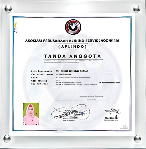 APLINDO PT BMI