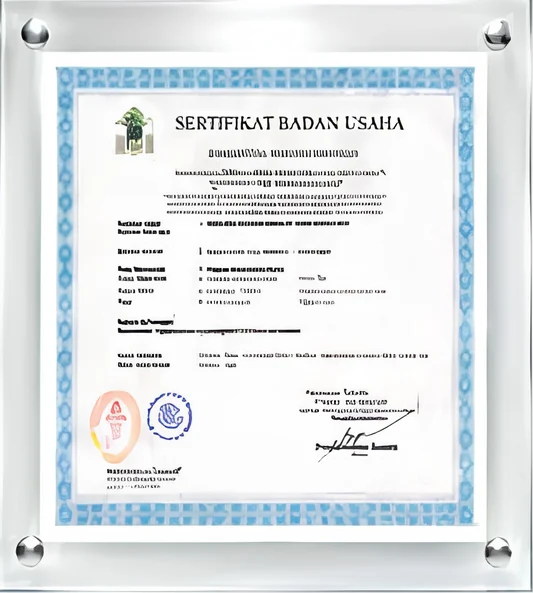 KADIN PT BMI